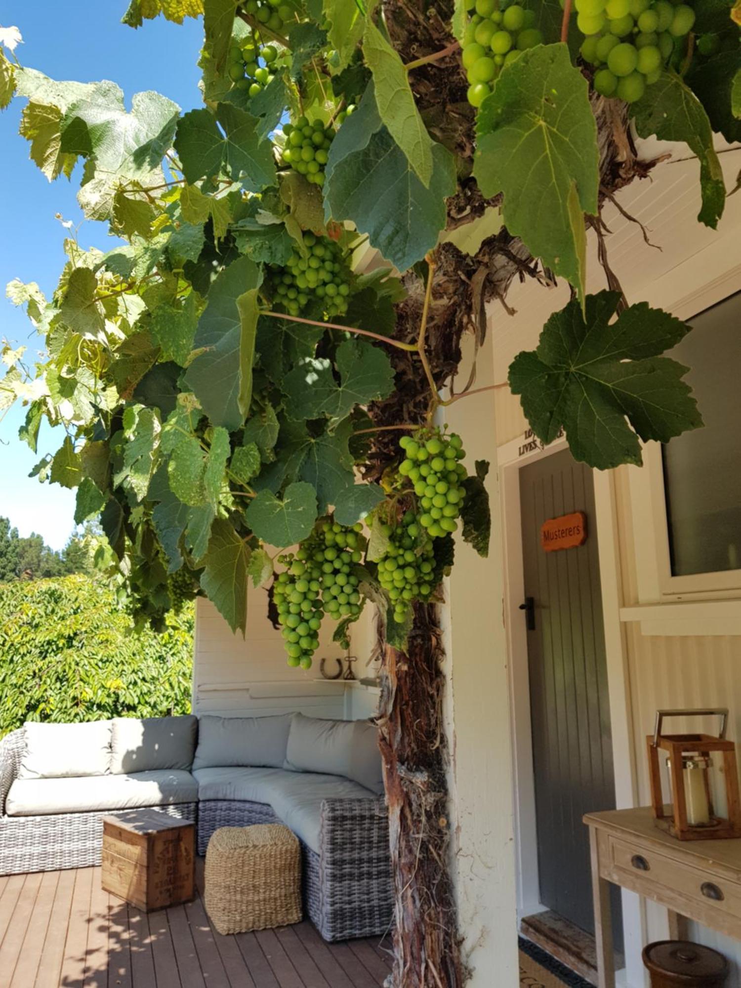 Karetu Downs Farm Stay Hawarden Экстерьер фото