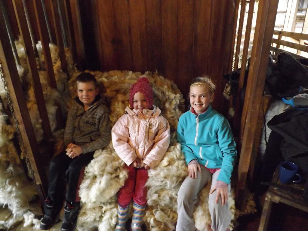 Karetu Downs Farm Stay Hawarden Экстерьер фото