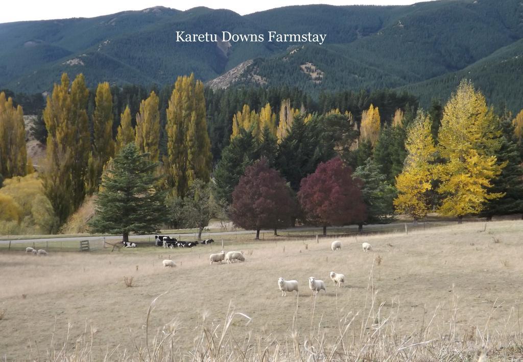 Karetu Downs Farm Stay Hawarden Экстерьер фото